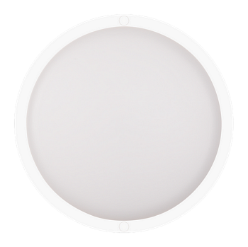 Настенно-потолочный светильник Ritter 56024 1