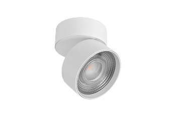 Потолочный cветильник Lumker Rink R-SSF-WH-NW 014417